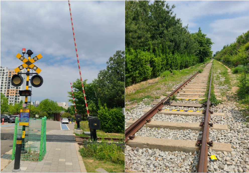 푸른 수목원 기찻길