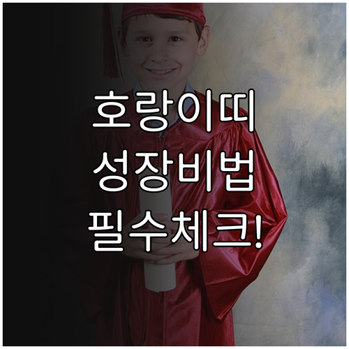 2026년 3월 호랑이띠 아이 성장 ..