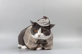 반려동물 샴푸 선택법