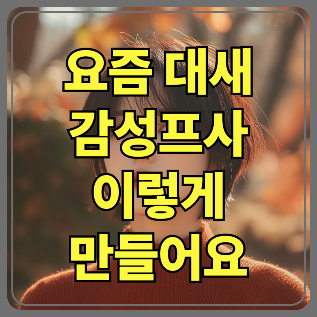 감성 프로필 프사, 나만의 분위기를 만드는 법