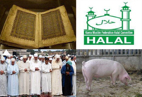 무슬림 돼지고기 안먹는 이유