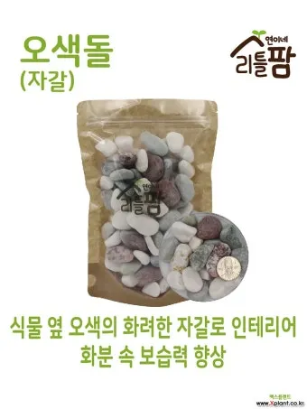 자갈 받침 사용 배수향상 과습예방 곰팡이냄새 줄이는 방법_10