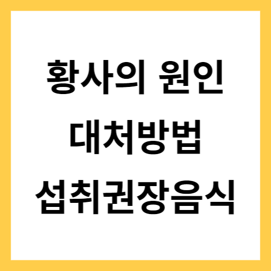황사의 원인 대처방법 섭취권장음식