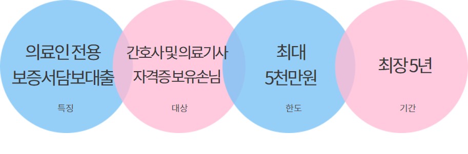 의료인보증서담보대출