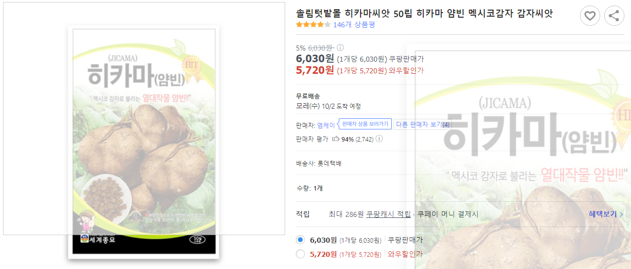 히카마 7가지 효능 및 재배 방법 (+ 차 종류 먹는 법 수확 시기)