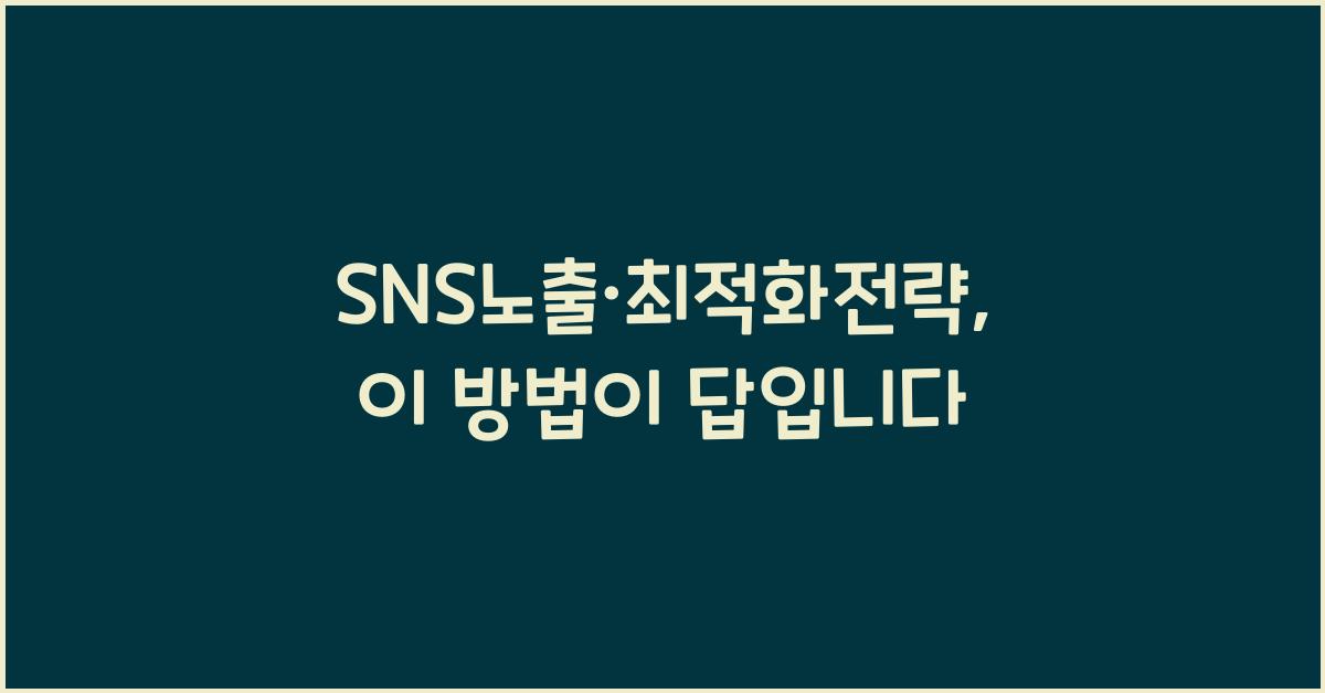 SNS노출·최적화전략