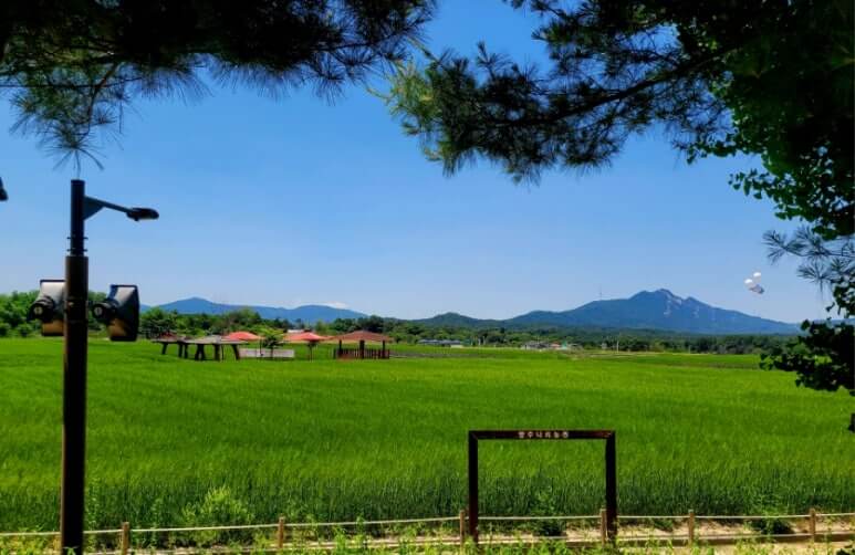 나리공원 전망대