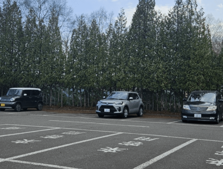 금액 상상이상으로 싼 버젯 렌트카 후기, 4일 렌트 14만원?