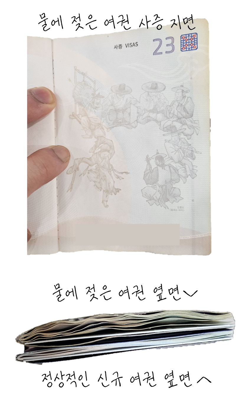 물에-젖은-여권-사증-지면(상)-젖은-여권과-정상-여권-옆면-비교(하)-이미지