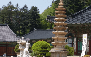 가을 바다 열차 여행 추천