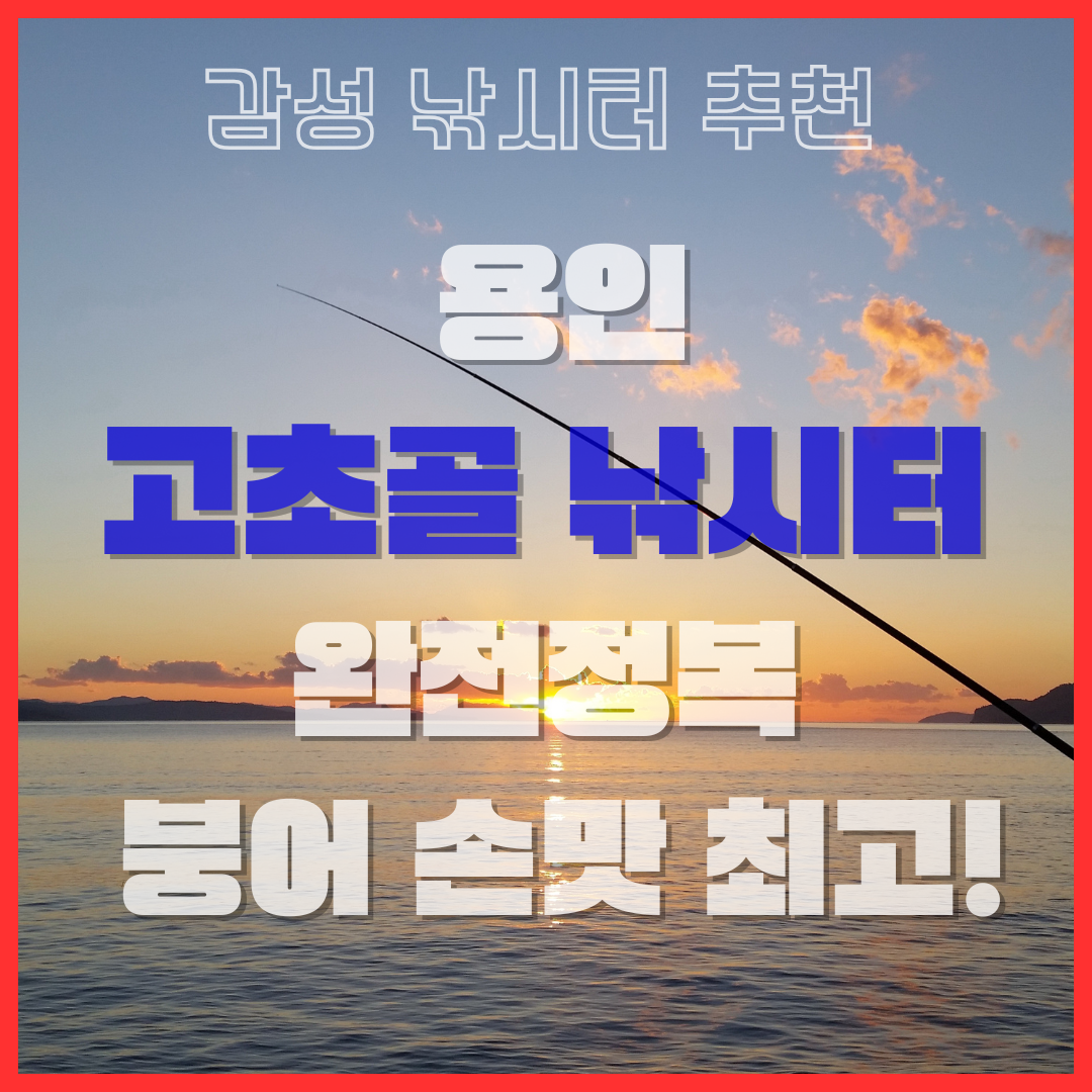 초보도 여유롭게 즐기는 고초골 낚시터 완전 정복