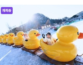 겨울 축제