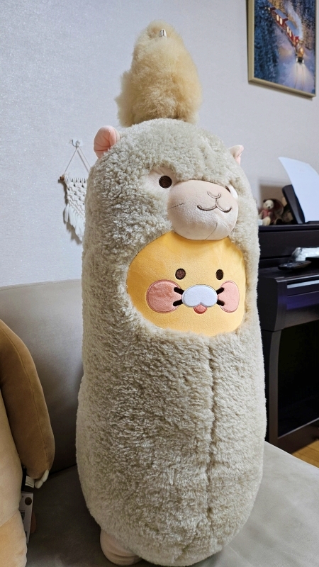 알파카 바디필로우 춘식이