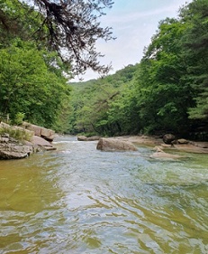 선유동계곡