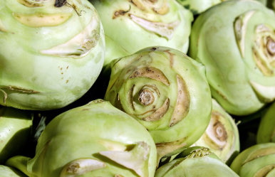 양배추참치덮밥