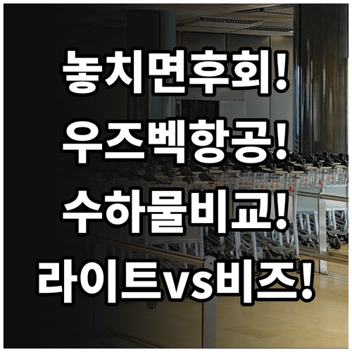 우즈베키스탄항공 위탁수하물, 라이트부..