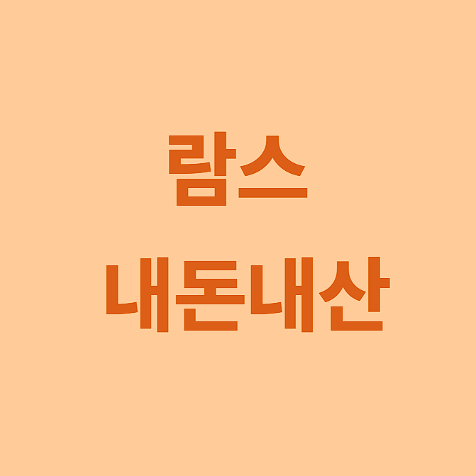 람스 내돈내산 후기