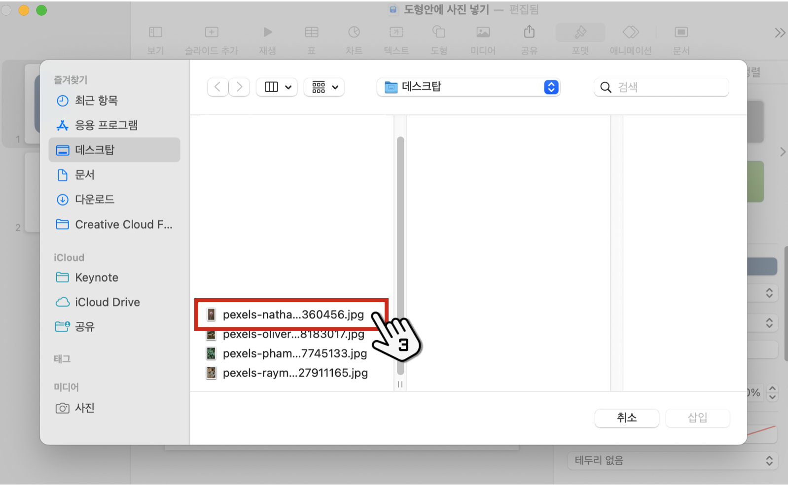 이미지 채우기