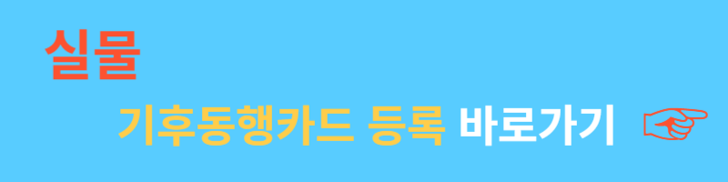 기후동행카드 신청