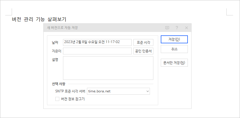 버전 관리 설정창