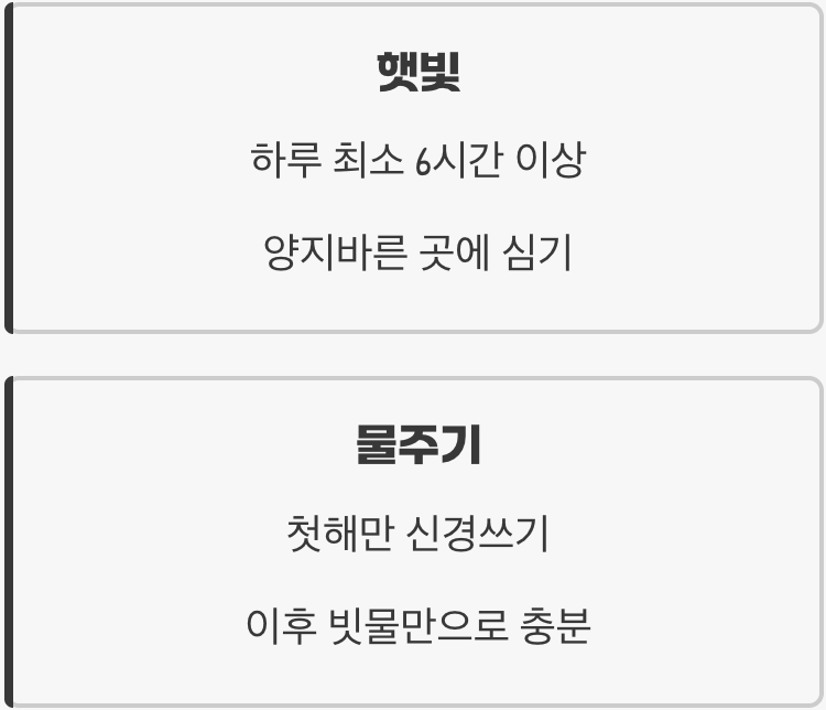 햇빛과 물, 이것만 기억하세요