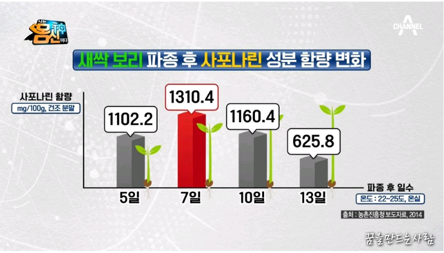 새싹보리 설명 8 새싹보리 효능 8