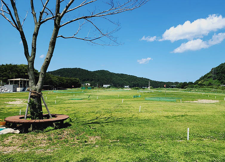 경상북도 울진군 남울진파크골프장