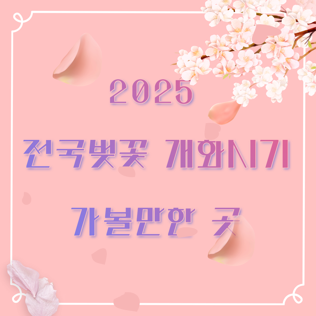 2025년 전국 벚꽃 개화시기 및 가볼만한 명소