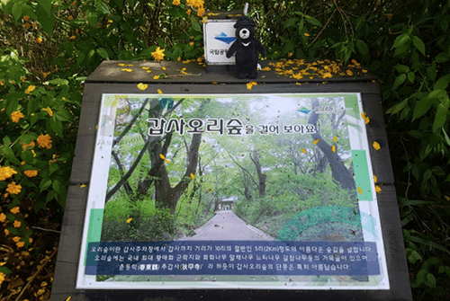 갑사03
