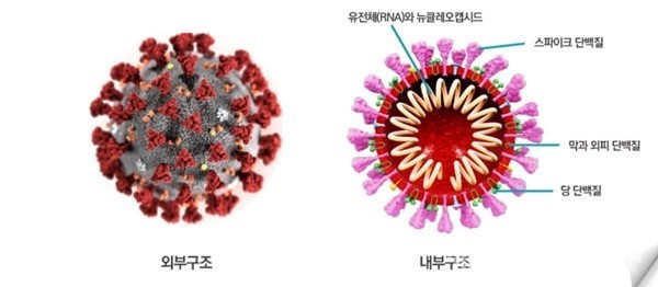 코로나19 변이(BA.2.86) 돌연변이 30개 더 많다