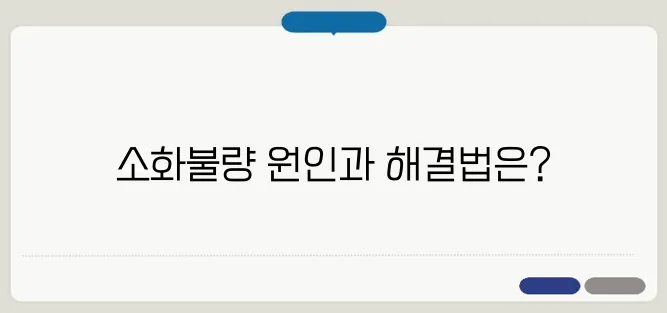 배가 살살 아픈 이유 및 소화불량 대처법