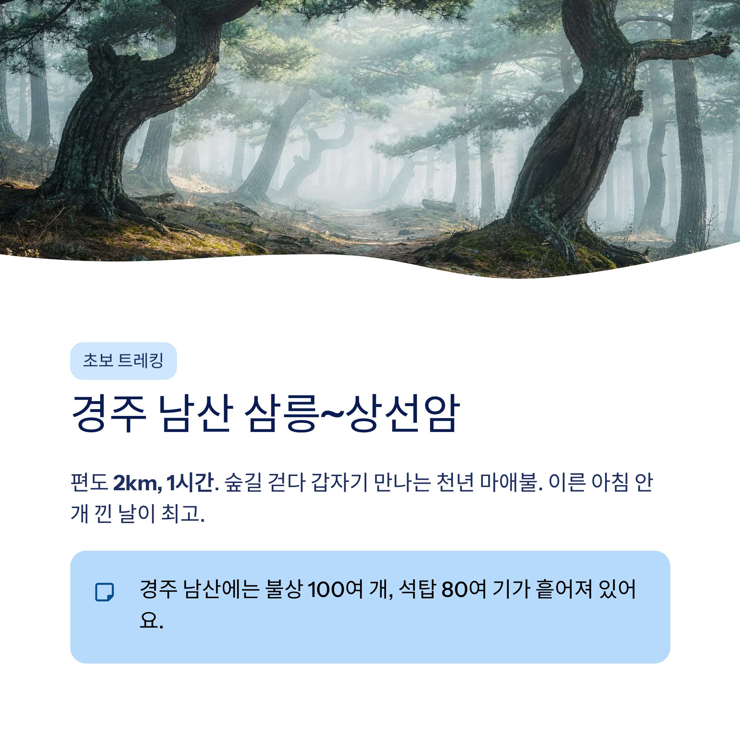 경주 근교 산책 달리기 트레킹 코스 추천 ❘ 천년 고도를 두 발로 걷는 법