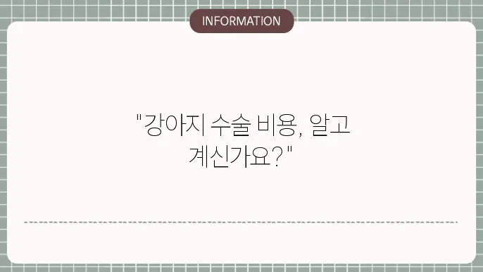 강아지 중성화 수술 후 관리