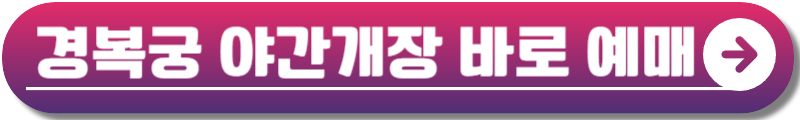 경복궁 야간개장