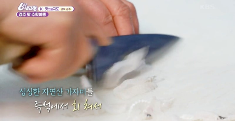 6시 내 고향 k 맛있을지도 경주, 빅마마 이혜정도 반한 참가자미 물회&middot;기름가자미 찌개 맛집