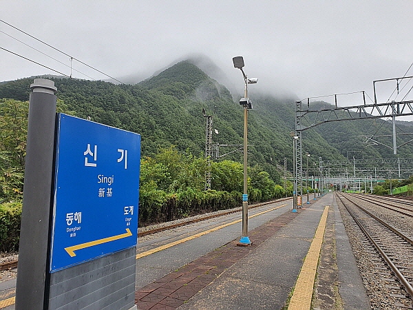 강원도 기차 여행