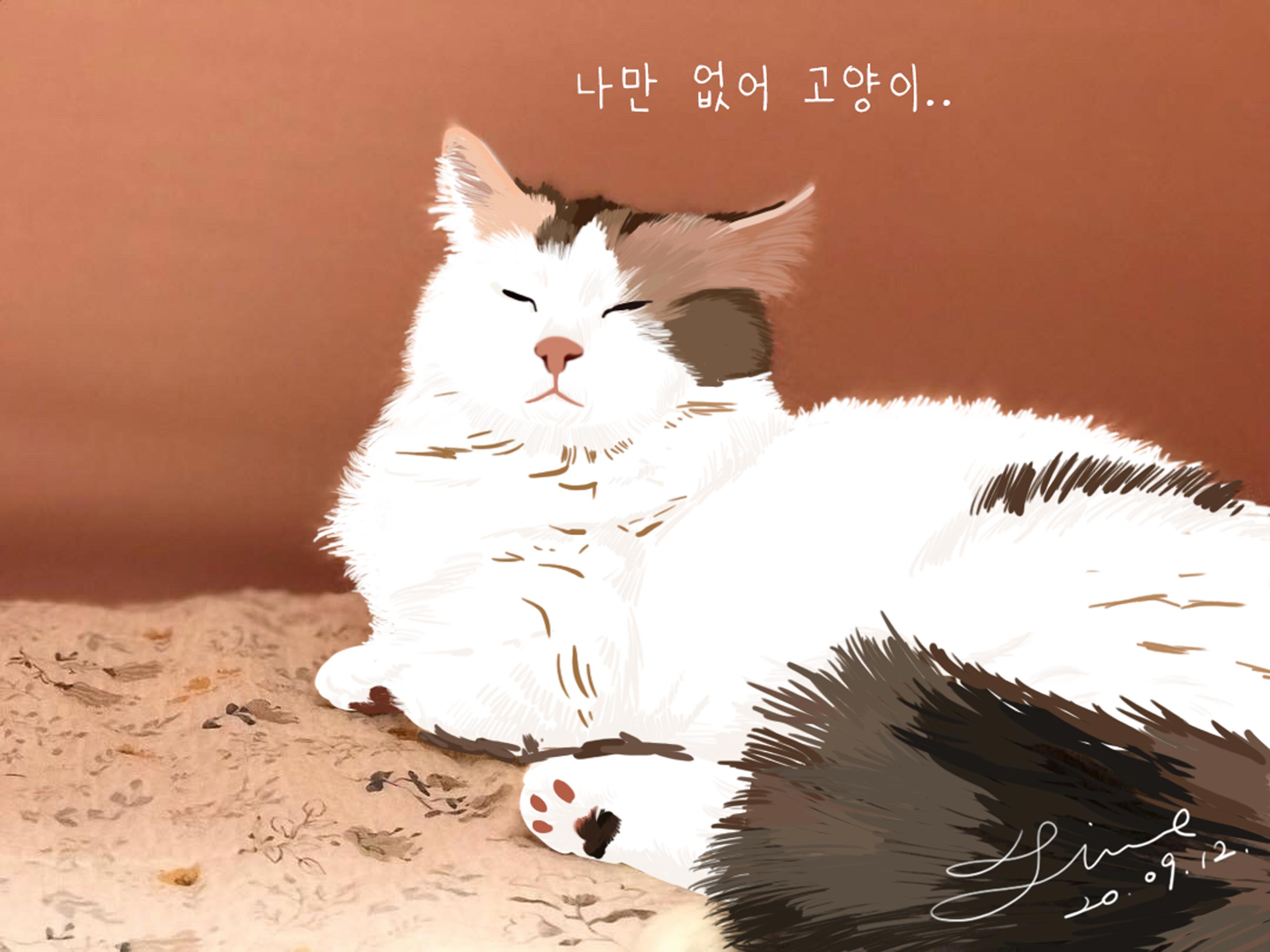 귀여운 고양이