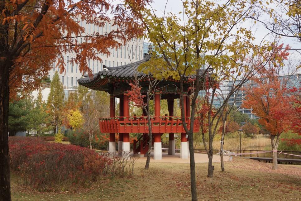 반려견과 함께 떠나는 분당&middot;판교 가을산책 단풍명소 추천 : 탄천산책로&middot;율동공원&middot;판교생태공원