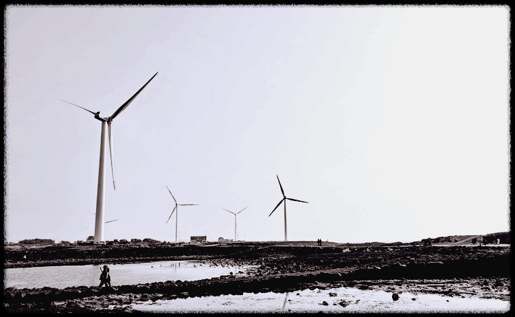 제주 해안 풍차