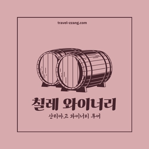 칠레 산티아고 와이너리