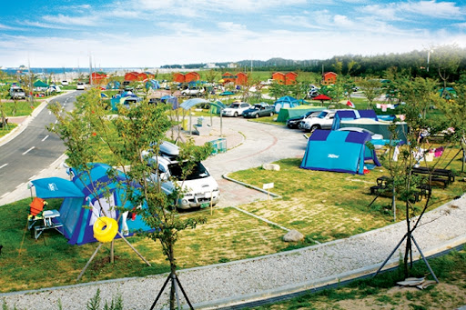 레전드 캠핑장 송지호오토캠핑장 소개