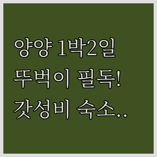 양양 1박 2일 뚜벅이 여행 꿀팁과 ..