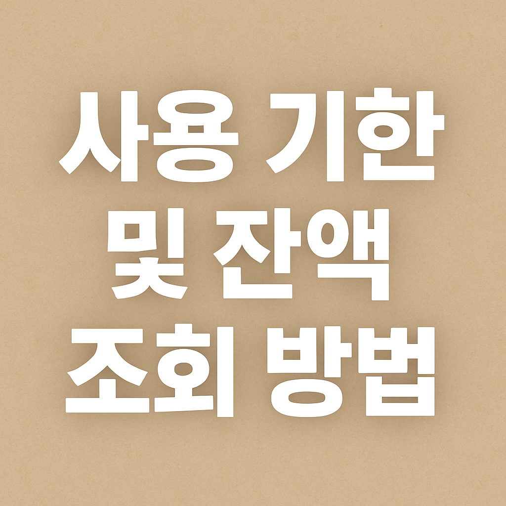 사용 기한 및 잔액 조회 방법