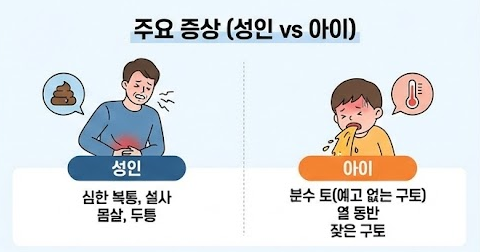 노로바이러스 증상