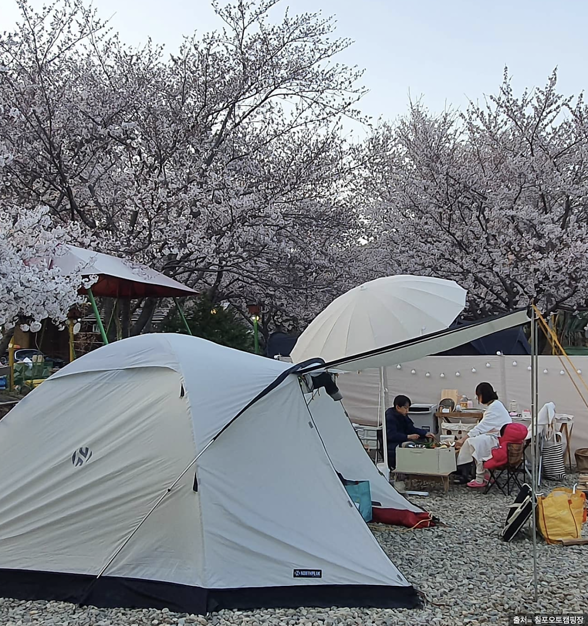 포항 칠포오토캠핑방 후기