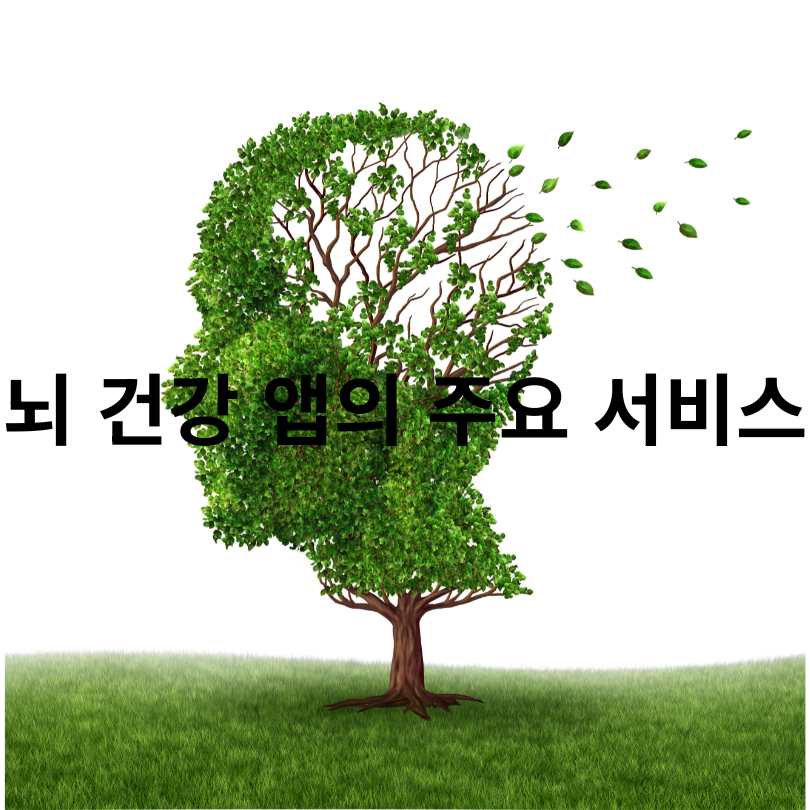 치매 예방 공공앱 &lsquo;브레인핏45