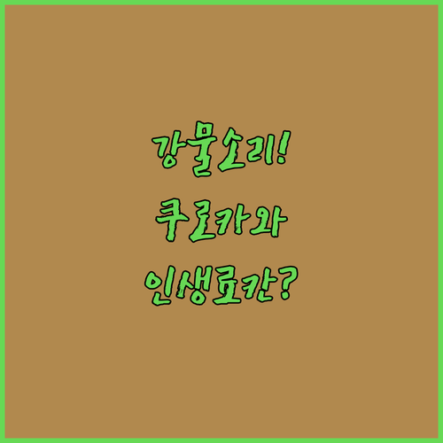 강물 소리 들리는 쿠로카와 온천 료칸..