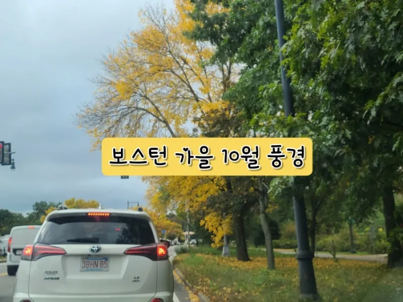 2025년 10월 한국의 날씨 예보 정보_3