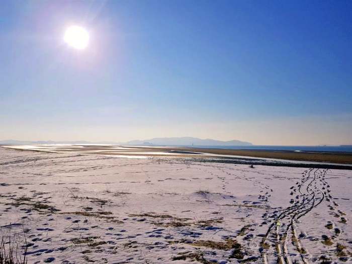생생정보 조회 수 75만 뷰 은퇴 부부의 해루질 낮루질 촬영 도전기 영상