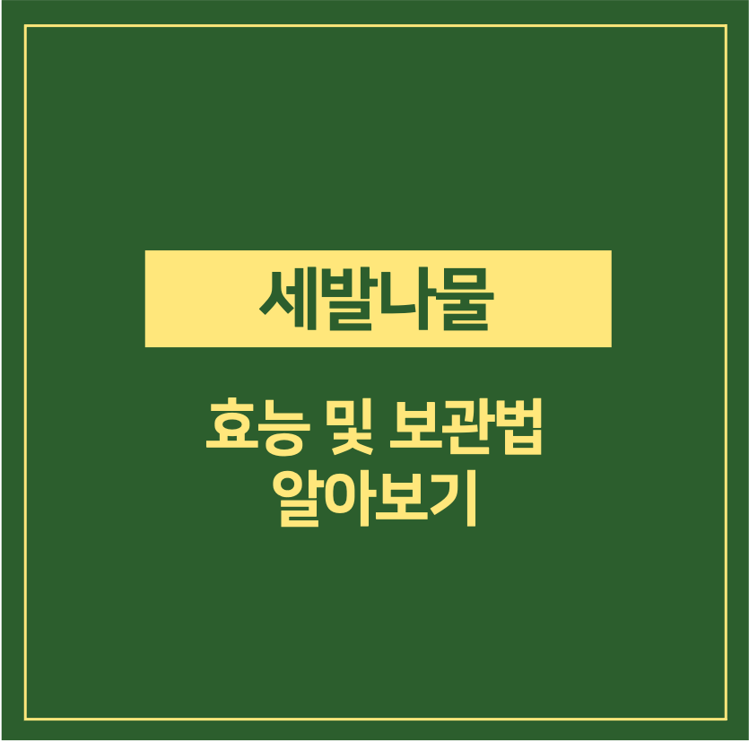 세발나물 효능 및 보관법